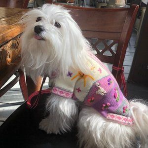 Peruvian dog sweater
